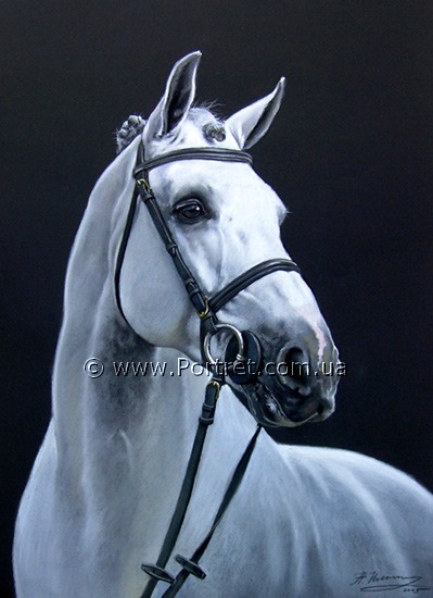 Horse. Pastel.