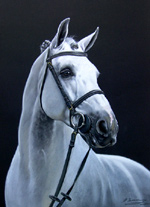 ʳ�� . �������.
