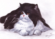 Cat. Watercolor.